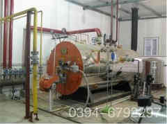  6噸冷凝燃?xì)忮仩t