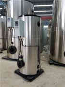  二噸低氮燃氣鍋爐