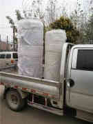  120kw自動熱水鍋爐