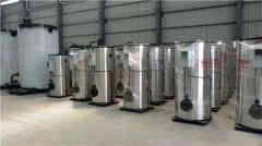 2噸燃?xì)庹羝l(fā)生器