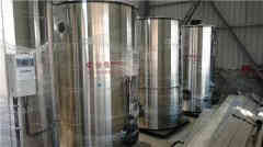 節(jié)能蒸汽鍋爐廠家