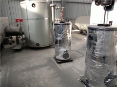 天然氣低氮蒸汽鍋爐