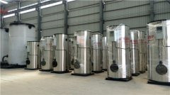 1000公斤電蒸汽發(fā)生器