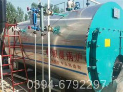 15噸蒸汽燃煤鍋爐