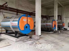 浴池熱水鍋爐廠家