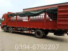 15噸三回程燃氣鍋爐