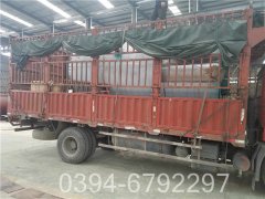 十噸低氮燃?xì)忮仩t