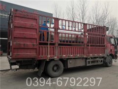 3噸燃?xì)忮仩t價(jià)格查詢