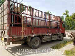 鍋爐蒸汽系統(tǒng)