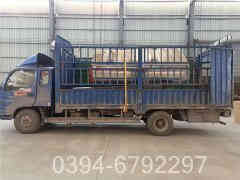 高效熱水鍋爐價格