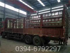 燃?xì)忮仩t十大排名