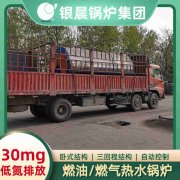 燃?xì)忮仩t的品牌