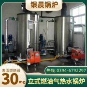 1噸燃?xì)庹羝l(fā)生器