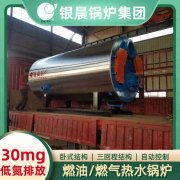 立式燃油導(dǎo)熱油爐