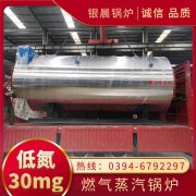 生物質(zhì)蒸汽鍋爐