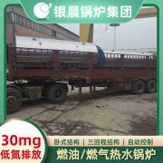 江蘇燃?xì)庹羝仩t