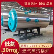 小型燃?xì)庹羝仩t