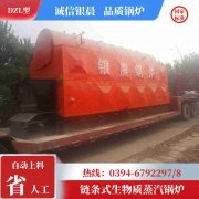 燃甲醇熱水鍋爐