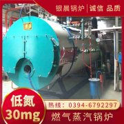 天然氣蒸汽鍋爐