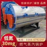 立式生物質(zhì)蒸汽鍋爐