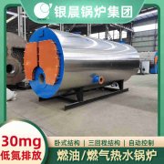 燃煤導(dǎo)熱油爐廠