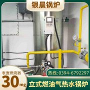 燃油燃氣導熱油爐廠家