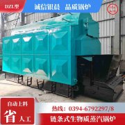 甲醇熱水鍋爐多少錢