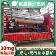 生物質蒸汽鍋爐