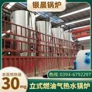 全自動(dòng)燃煤熱風(fēng)爐