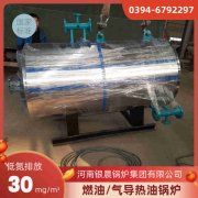 工業(yè)燃?xì)庹羝仩t