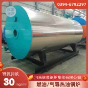 燃甲醇熱水鍋爐