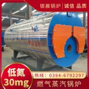 天燃?xì)庹羝仩t廠家