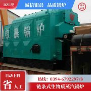 8噸燃?xì)鉄崴仩t