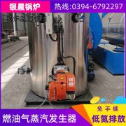 15噸燃?xì)鉄崴仩t