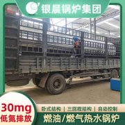 CWNS0.49-85/60-QY燃?xì)鉄崴仩t