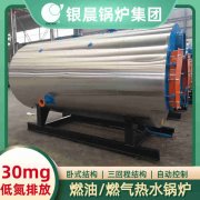 8噸燃?xì)鉄崴仩t