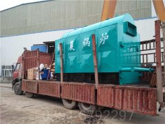 CWNS7-85/60-QY液化氣熱水鍋爐