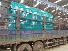 廣東CWNS0.35-85/60-QY燃?xì)鉄崴仩t