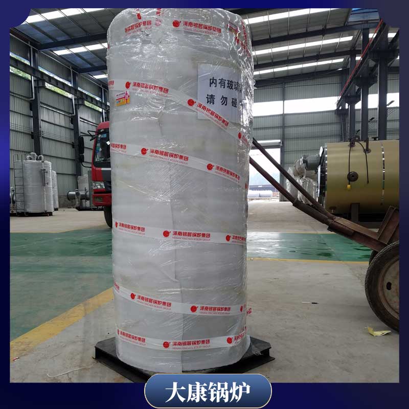 燃生物質(zhì)氣鍋爐