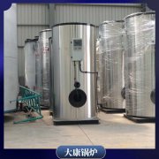 上海半噸低氮導(dǎo)油爐