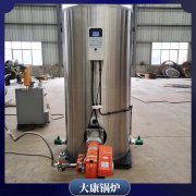 香港600萬(wàn)大卡低氮導(dǎo)油爐