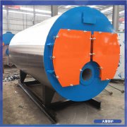 遼寧600萬大卡冷凝導熱油爐