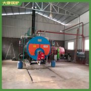 工業(yè)燃?xì)忮仩t廠家0.5噸中國(guó)十大品牌