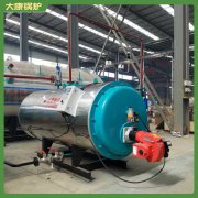 江蘇10.5mw低氮導(dǎo)油爐