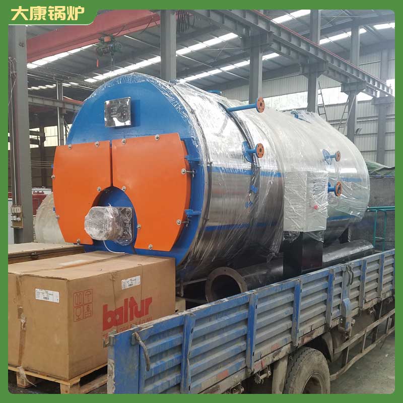 醫(yī)療制藥生物質(zhì)鍋爐