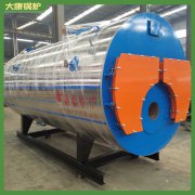 山西20t導(dǎo)熱油爐