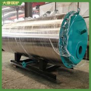 湖南100萬大卡導油爐