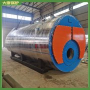 安徽10500kw低氮導(dǎo)油爐