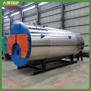 新疆60萬大卡低氮真空鍋爐