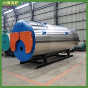 上海10t低氮導(dǎo)熱油爐